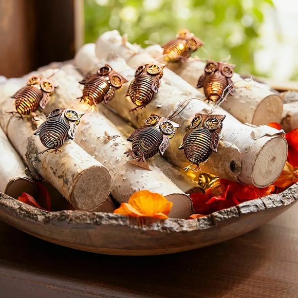 Pier 1 Iron & Copper Owl glimmer strand Flexible LED 10 Ft 15 lights - Picture 1 of 5